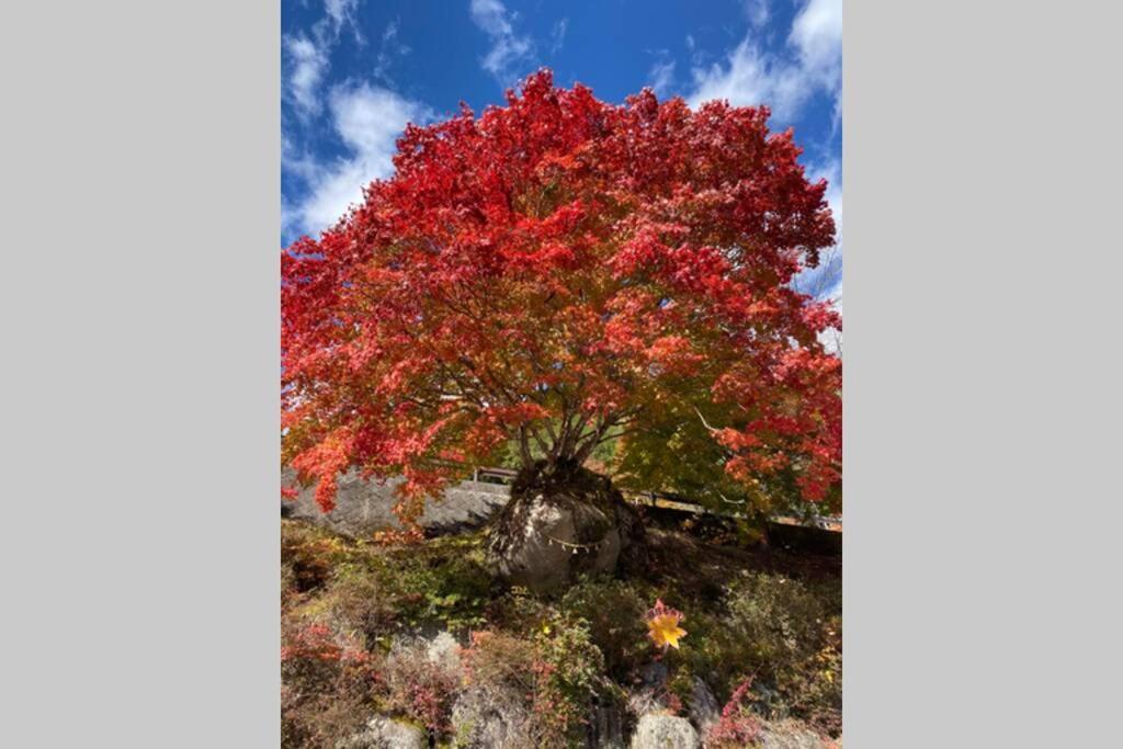 花緑里-Hanamidori-乙原のやど 岐阜下呂温泉郡上飛騨金山湖畔リゾート Gujo Exterior foto